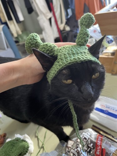 Handmade shrek cat hat - handmade,
