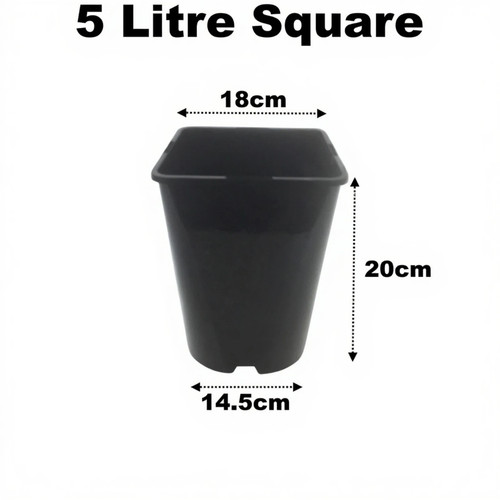 Litre square plant - square,