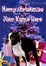 Boston Terrier Puppy Dog Merry