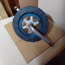 Raleigh Street Wolf Wildcat