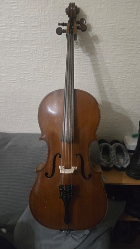 Size cello fully - size,