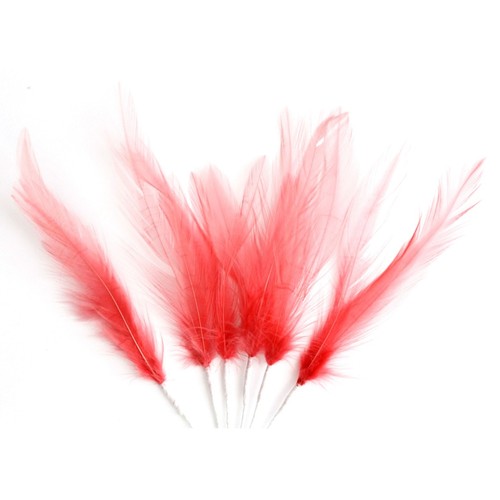 Narrow feathers rooster neck - feathers,