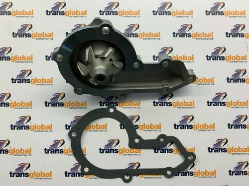 Water pump gasket - water,