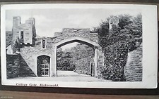 Postcard. College Gate