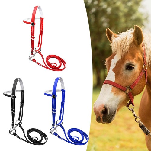 Horse bridle with rein - horse,