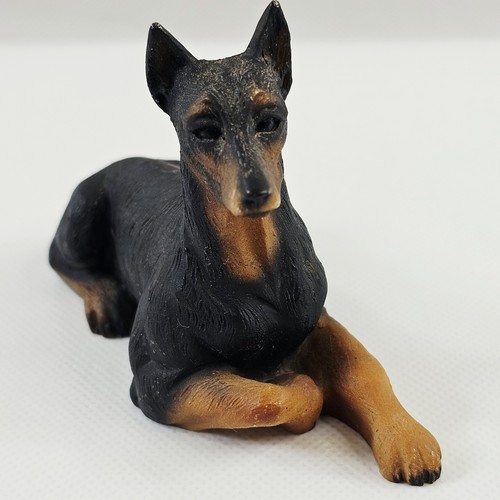 Vivian doberman pinscher dog - c,
