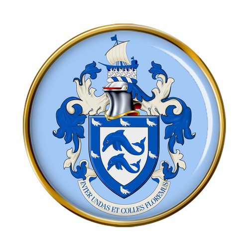 Brighton pin badge - (england),