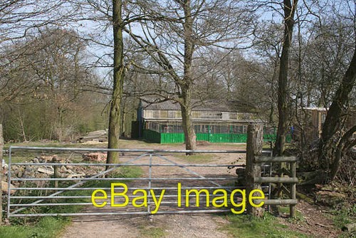 Photo 6x4 game - rearing, sheds