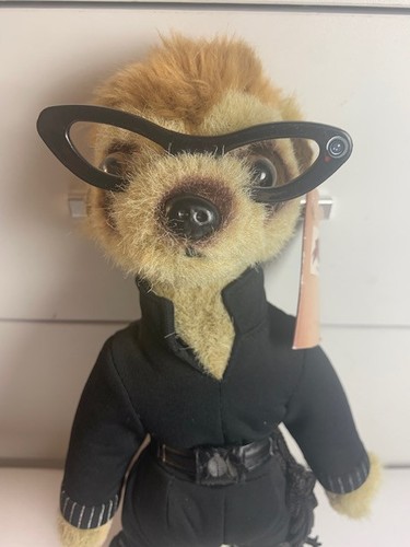 Compare the meerkat - compare,
