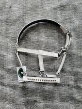 Mini Shetland Halter – Pony