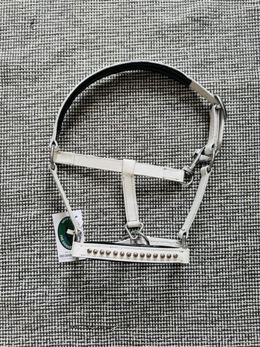 Clearance mini shetland halter - clearance,