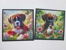 EXCLUSIVE=== 2 x YOUNG BOXER