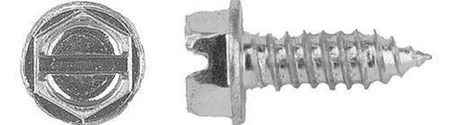 100 license plate - screws, for