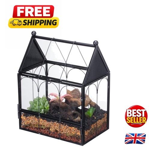 Decorative glass terrarium - decorative,