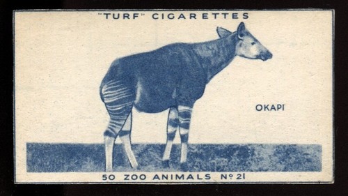 Tobacco card carreras - tobacco, carreras,