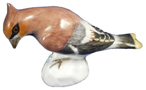 Nice meissen porcelain waxwing - nice,