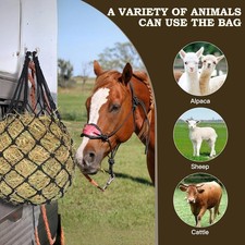 2pcs set hanging hay - 2pcs/set, net