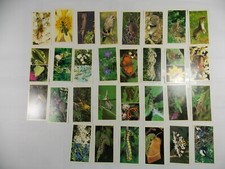 Grandee Cigar Cards Wayside