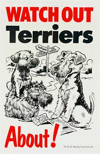 Pet dog warning sign - dog,