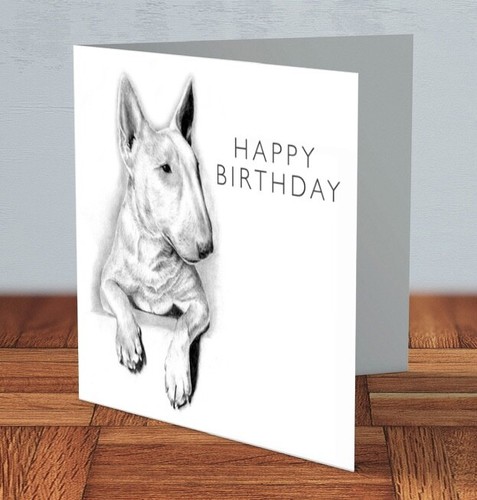 English bull terrier - bull, dog