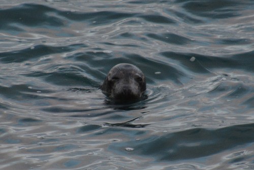 Photo south hams coastal - south,