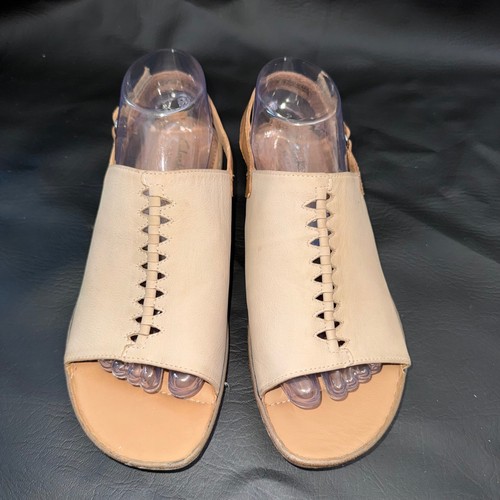 Clarks collection beige - collection,