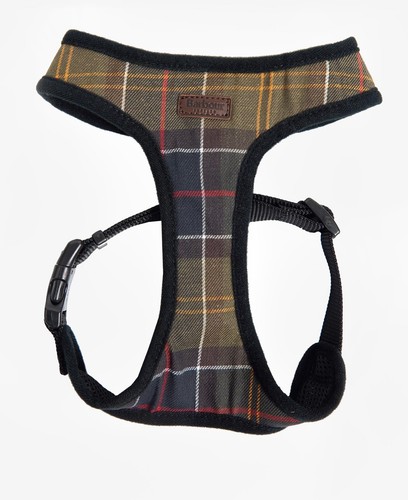 Barbour tartan dog - dog,