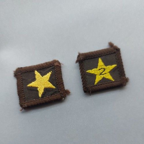 Vintage 1970s girl guide - girl,