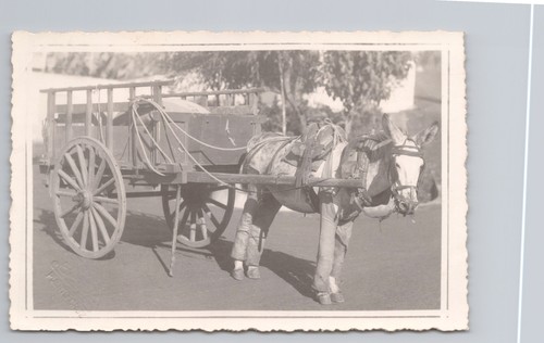 Postcard vintage rppc foto - postcard,