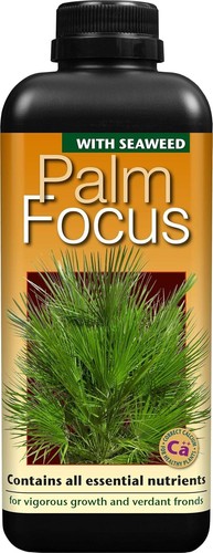 Palm tree fertiliser feed for - tree,