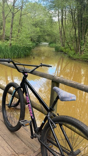 Big flyer inch bike - se,