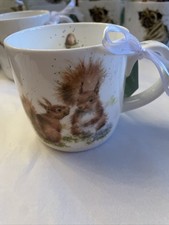 BN Wrendale Designs Royal Worcester ‘Between Friends’ Squirrel Mug Bone China