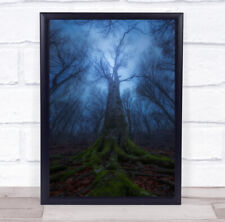 Tree Wood Forest Winter Moss Trunks Evil Wall Art Print