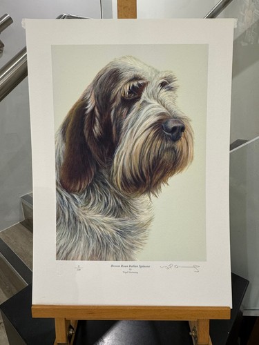 Nigel hemming brown - nigel,