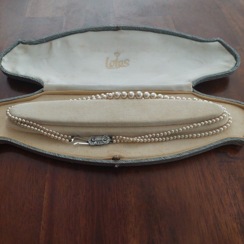Vintage lotus double pearl - lotus,