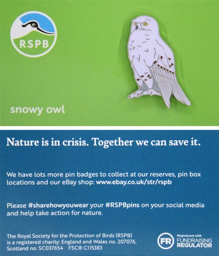 Rspb pin badge niic new - pin,
