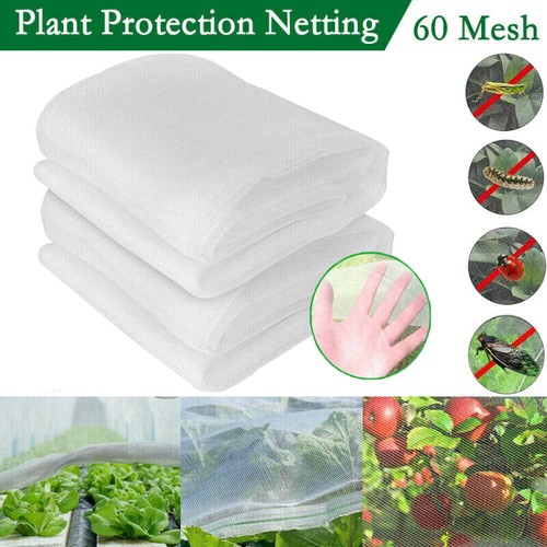 Heavy duty fruit veg - heavy,