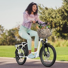 Adjustable Electric Scooter