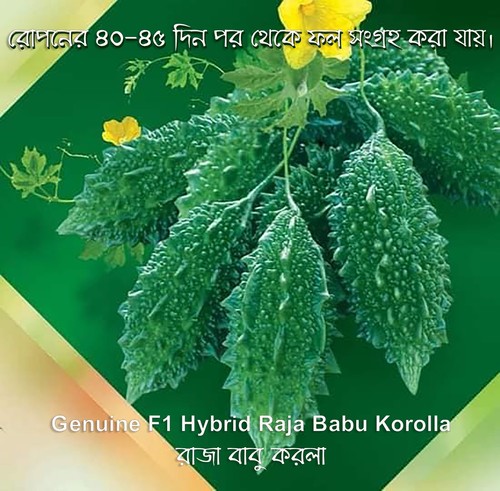 Bitter gourd karela seeds - bitter,