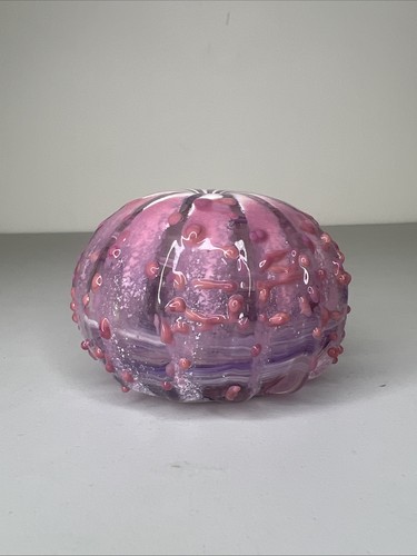 Signed judit konshi tidal - signed,