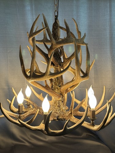 Deer antler chandelier - antler,