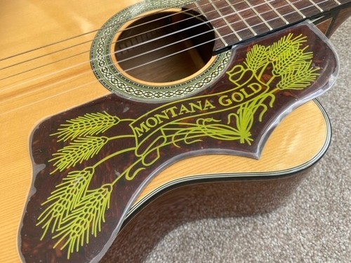 Acoustic guitar deluxe 2mm - 1x,