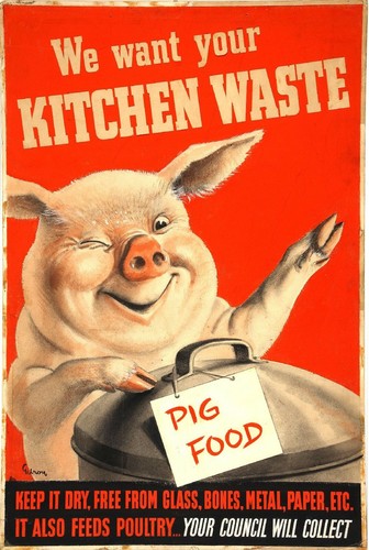 Want your kitchen waste - want,