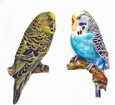 Budgie Magnet Set - Budgerigar