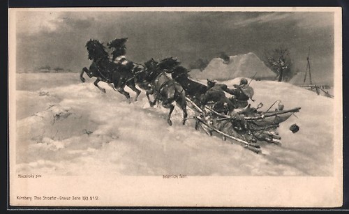 Horse drawn sleigh - horse-drawn, ride