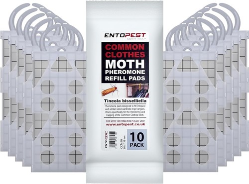 Monitoring moth peds 10 - moth,