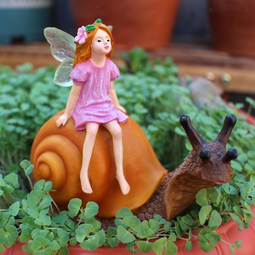 Flower fairy statue collection - flower,