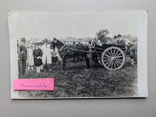 Old photo men women horse - old,