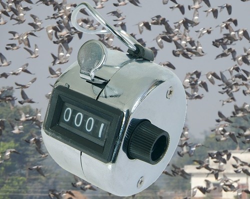 Pigeon decoys counter clicker - pigeon,