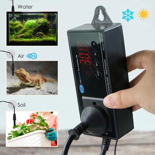 Digital reptile temperature - digital,